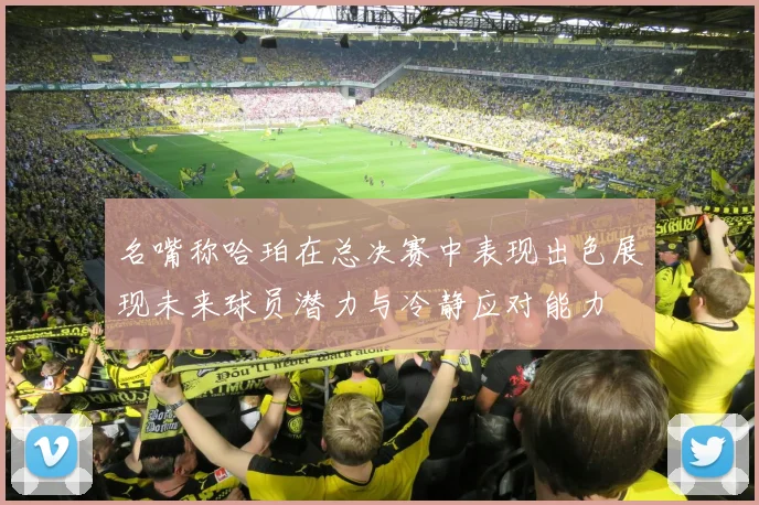 名嘴称哈珀在总决赛中表现出色展现未来球员潜力与冷静应对能力
